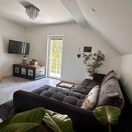 Hisa Sreco Apartment Begunje na Gorenjskem Luaran gambar