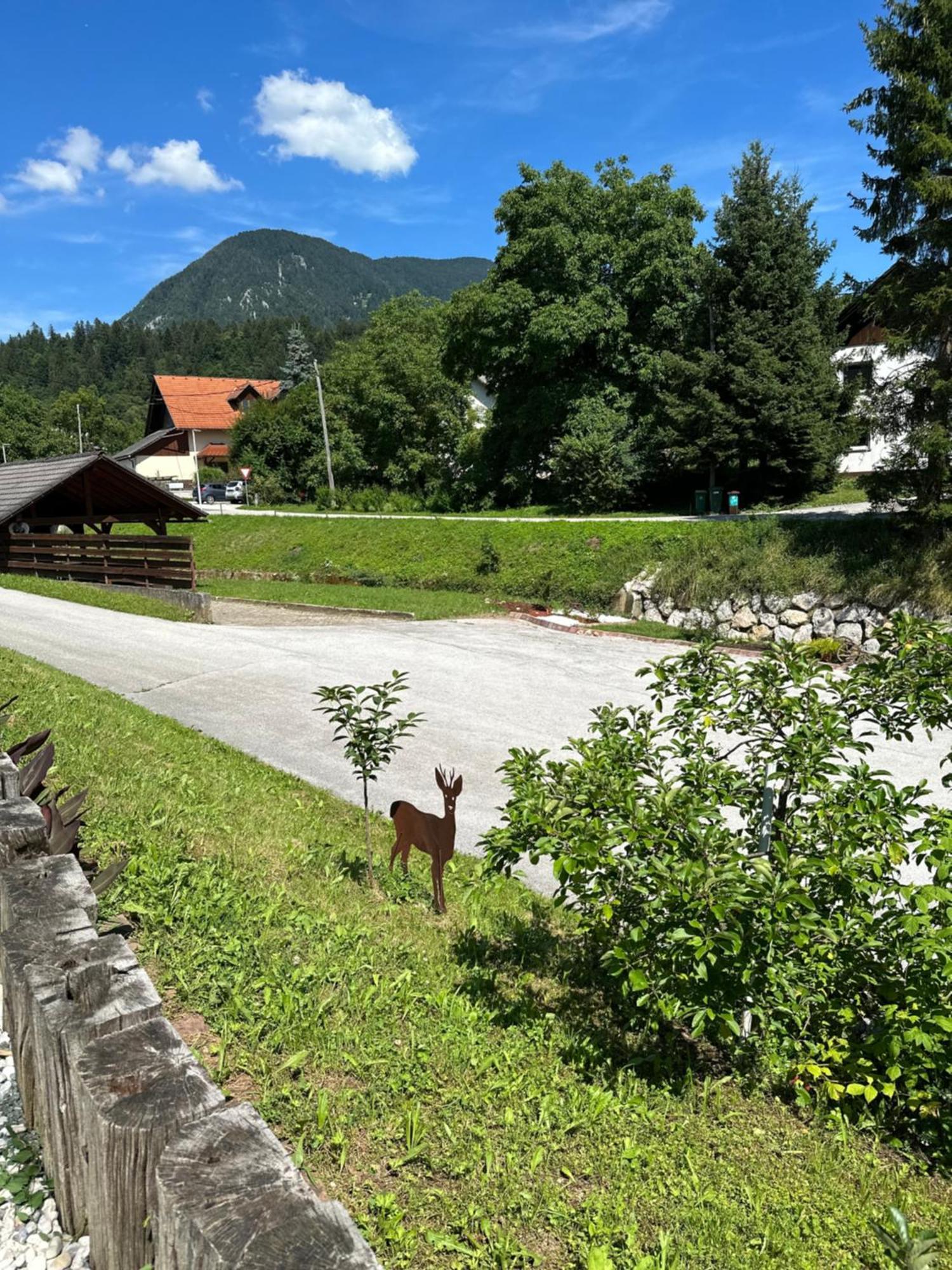 Hisa Sreco Apartment Begunje na Gorenjskem Luaran gambar